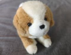 ファースト社 いたずら天使 犬 ぬいぐるみ 昭和レトロ 激レア おもちゃ ファースト社 いたずら天使 犬 ぬいぐるみ 昭和レトロ 激レア おもちゃ