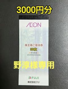 フジ　イオン　株主優待　6000円分のサムネイル
