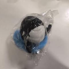 海からひょっこりぬいぐるみ 2点セットのサムネイル
