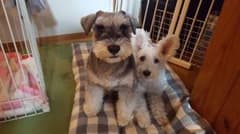 たらちゃん様のサムネイル
