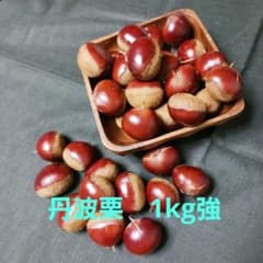 群馬県産　生栗1kg強　36ケ+予備のサムネイル