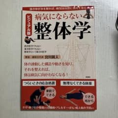 病気にならない整体学　ビジュアル版のサムネイル