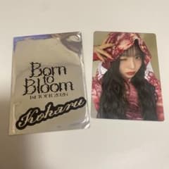 HANA 트레카 홀츠 코할