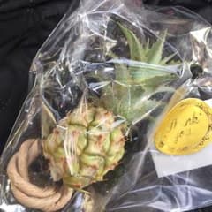 ⭐︎観賞用ミニパイナップルのサムネイル