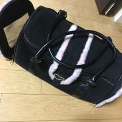 ペット用キャリーバッグ 犬猫のサムネイル