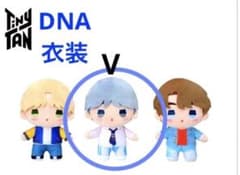 TinyTAN 타이니탄 뽀와포와 봉제인형 DNA V 테테 20cm