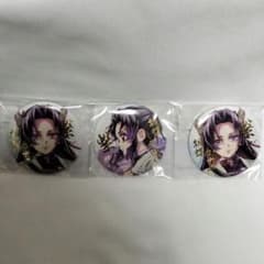 鬼滅の刃 胡蝶しのぶ カナエ 箔押し 缶バッジ - メルカリ