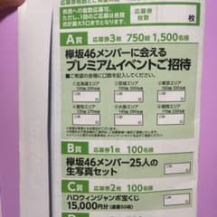 欅坂46くじ 専用応募用紙 ２セットのサムネイル
