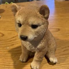 【新品・未使用】シバ (柴犬)のサムネイル
