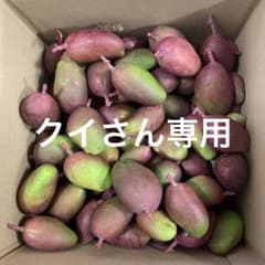 摘果マンゴー10kgのサムネイル