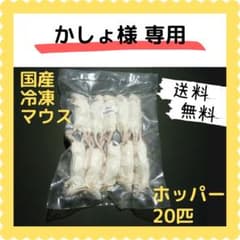 国産冷凍マウス ホッパー 100匹　送料無料（一部地域発送不可) 国産冷凍マウス ホッパー 10匹 (送料無料一部地域発送不可) - メルカリ
