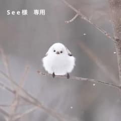 See 様　専用のサムネイル