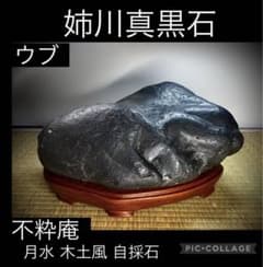 m88221971932_1.jpg?1687911247