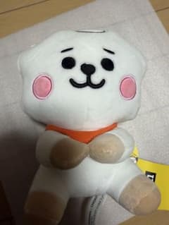 BT21 봉제인형 RJ
