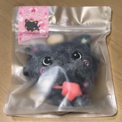 nctwish wishdoll リク クリ steady MD 未開封 - メルカリ