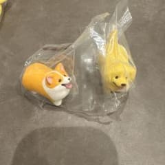 いい感じの棒をゲットした犬　ガチャ　【ゴールデン・コーギー】のサムネイル