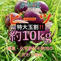 特大玉割引‼️ 畑のルビー‼️ 食べる輸血と話題の赤穂ビーツ - メルカリ