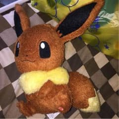 ポケットモンスター イーブイのサムネイル