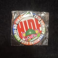 GReeeeN 2019 SUMMER 缶バッジ　HIDE