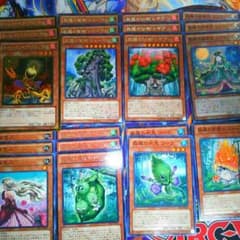 遊戯王 森羅デッキのサムネイル