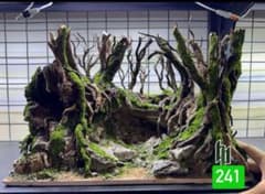 m88293383031_1.jpg?1748000301