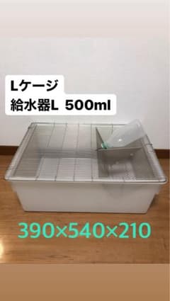 Lケージ マウス・ラット・ハムスター 飼育ケージ【中古】 Lケージ マウス・ラット・ハムスター 飼育ケージ【中古】 - メルカリ
