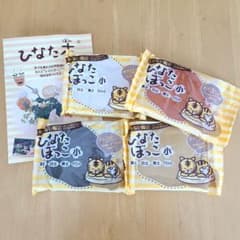 夜子さま専用です。 ひなたぼっこ粘土4個セット説明書付きのサムネイル