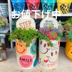 多肉植物❤Smileリメ缶❤縦置き❤デコ＆ステンシル❤2個セット❤のサムネイル