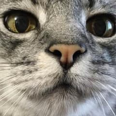 返金ページのサムネイル