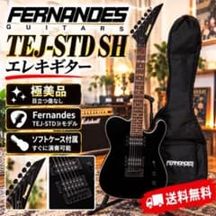 340 極美品 Fernandes TEJ-STD SH エレキギター 送料無料 - メルカリ