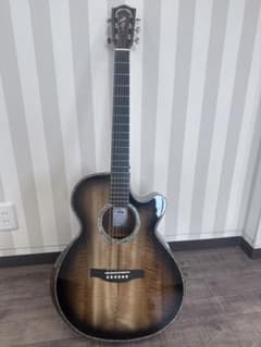Headway Japan HSJ-5150SE エレアコ 美品 - メルカリ