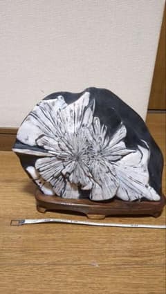 t*2様 菊花石鑑賞用　 木製台座付きのサムネイル
