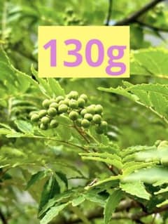 山椒の実　130g 無農薬　6/6採取　即日発送のサムネイル
