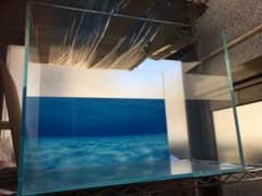 熱帯魚水槽山口県引取限定金太郎様専用のサムネイル