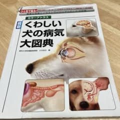 nk様専用のサムネイル