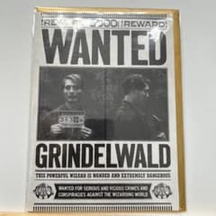판타스틱 비스트 그린델발드 WANTED 인사말 카드