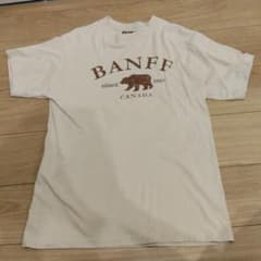 【古着】LAGO Tシャツ BANFF CANADA ベア Mサイズ