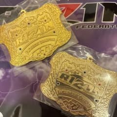 RIZIN 이치 반 쿠지 D상 챔피언 벨트 메탈 매력
