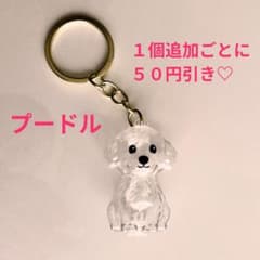 mia-様 リクエスト 2点 まとめ商品 トイプードル2個 - メルカリ