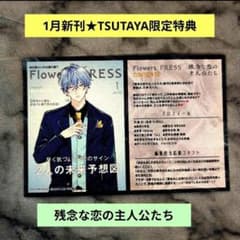 バードメン 1巻 初版 帯付き 特典イラストカード2枚付き チラシ付き 1月新刊》／残念な恋の主人公たち2巻TSUTAYA特典両面イラストカード