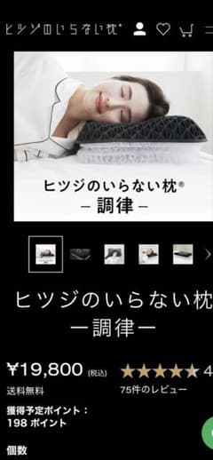 ヒツジのいらない枕調律　美品！のサムネイル
