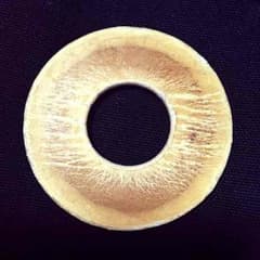 剣道 高級革鍔のサムネイル