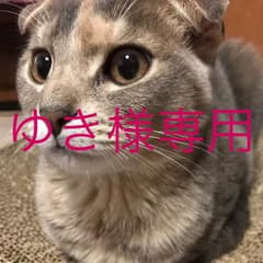 ゆき様専用のサムネイル