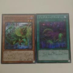捕食植物サンデウ・キンジー プレデター・プランターのサムネイル