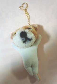 ポンポンわんちゃんの手袋ストラップのサムネイル