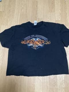 harley davidson ハーレーダビットソンtシャツのサムネイル