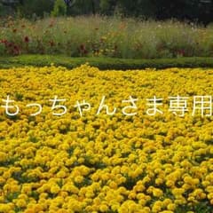 もっちゃんさま専用ページ 6種setのサムネイル