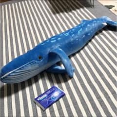 専用です。のサムネイル