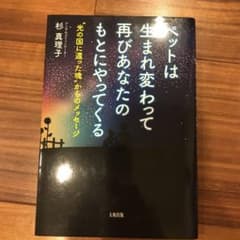 ペットは生まれ変わって再びあなたのもとにやってくるのサムネイル