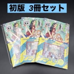初版・新品未開封・シュリンク】ワンピース ONEPIECE ノベルヒロインズ